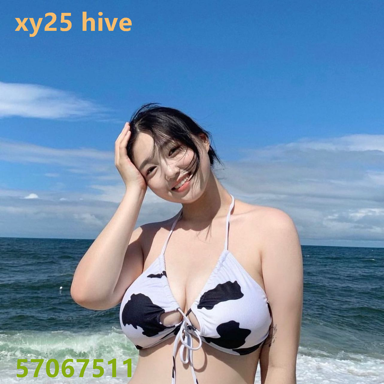 xy25 hive